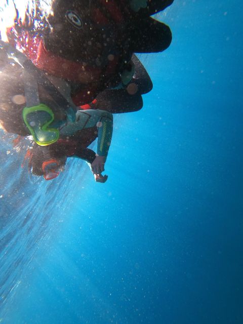 Madeira: Half-Day Coasteering Tour - Choosing your cliff jump