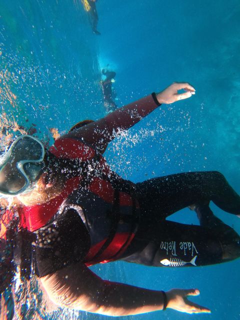 Madeira: Half-Day Coasteering Tour - Caves, tunnels, and clear water