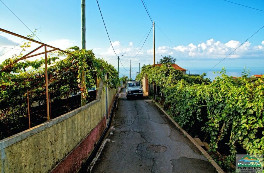Madeira: Half-Day Nun's Valley and Sea Cliff Tour - Why this short Jeep trip works well in Madeira