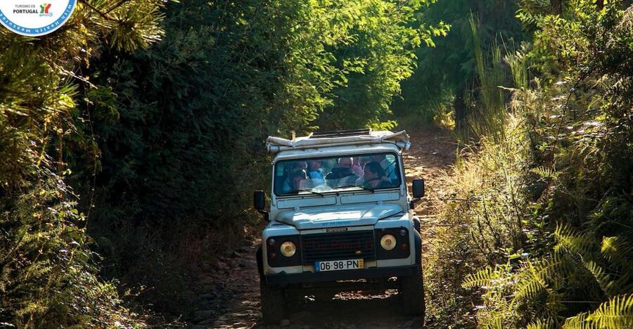 Madeira: Half-Day Nun's Valley and Sea Cliff Tour - The secret stop and the first mountain views