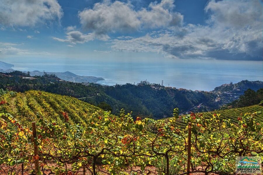 Madeira: Half-Day Nun's Valley and Sea Cliff Tour - Boca dos Namorados and the view toward Nun’s Valley