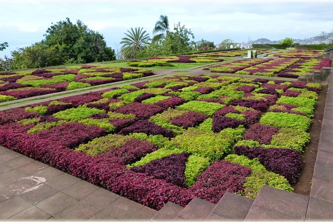 Madeira Highlights: Toboggan, Garden & Cable Car (All-Inclusive) - Is $199.13 per person good value?