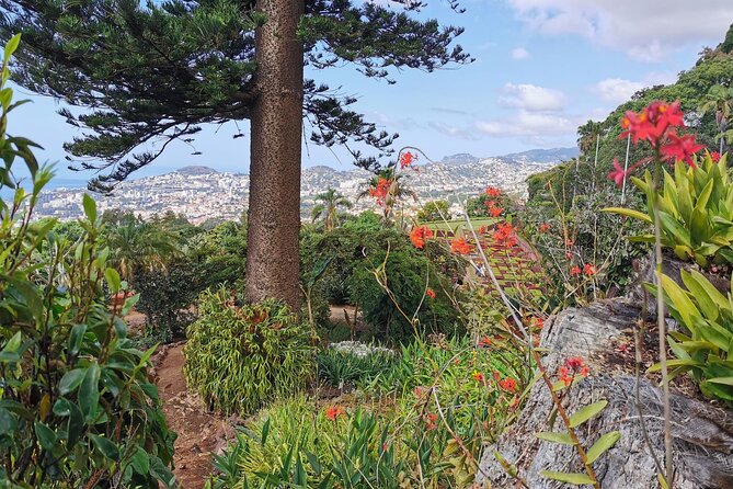 Madeira Highlights: Toboggan, Garden & Cable Car (All-Inclusive) - Who should book this Madeira experience?