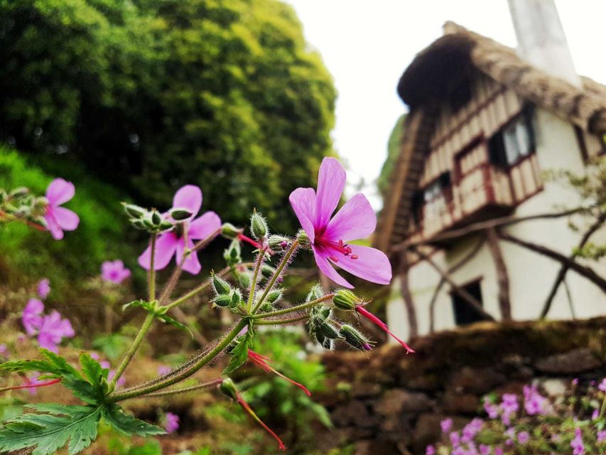 Madeira Island: Caldeirão Verde Levada Walk - Key Points Before You Book
