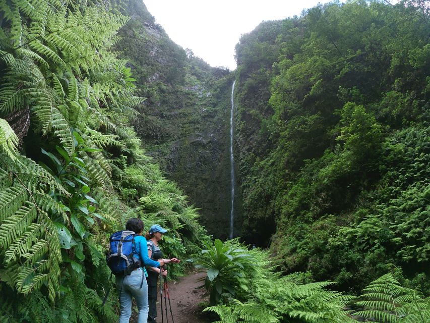Madeira Island: Caldeirão Verde Levada Walk - Queimadas Forest Park and the Thatched House