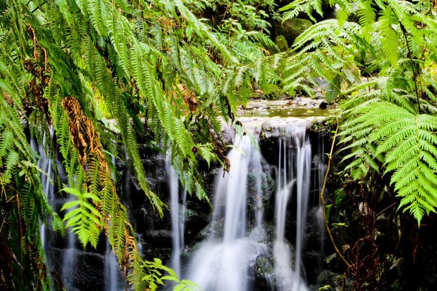 Madeira Island: Caldeirão Verde Levada Walk - Following the Levada Through Four Tunnels