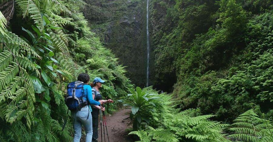 Madeira Island: Caldeirão Verde Levada Walk - The Return Walk and Group Pace