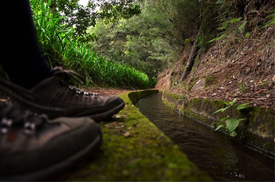 Madeira Island: Caldeirão Verde Levada Walk - Leaving Funchal for Queimadas