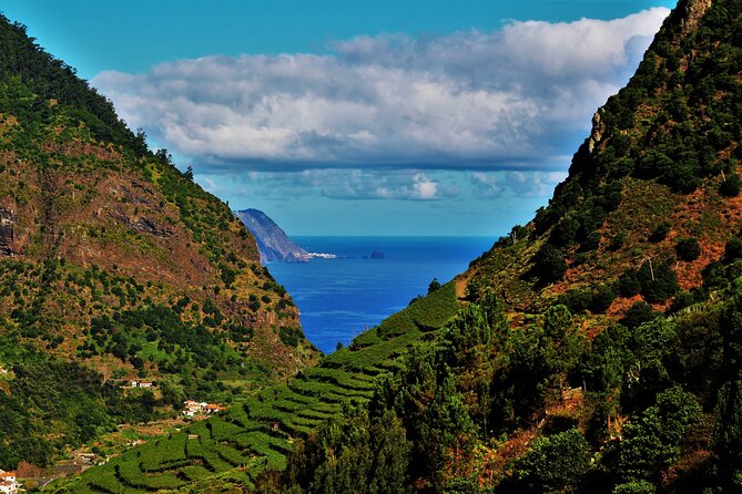 Madeira Island Private Wine Full-day Tour in all terrain vehicle - A private start from Funchal at 9:00 a.m.