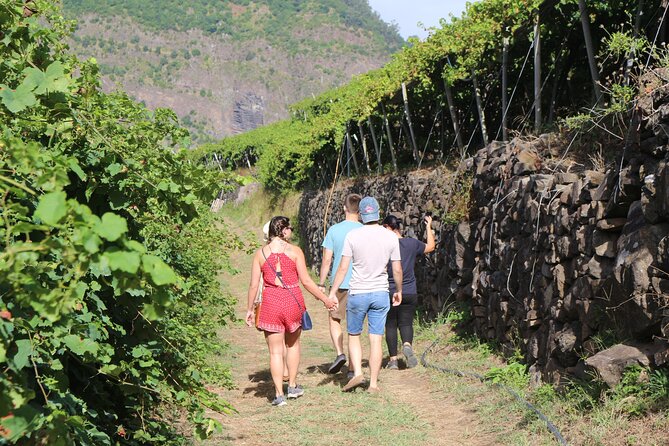 Madeira Island Private Wine Full-day Tour in all terrain vehicle - Henriques & Henriques and six Madeira wines