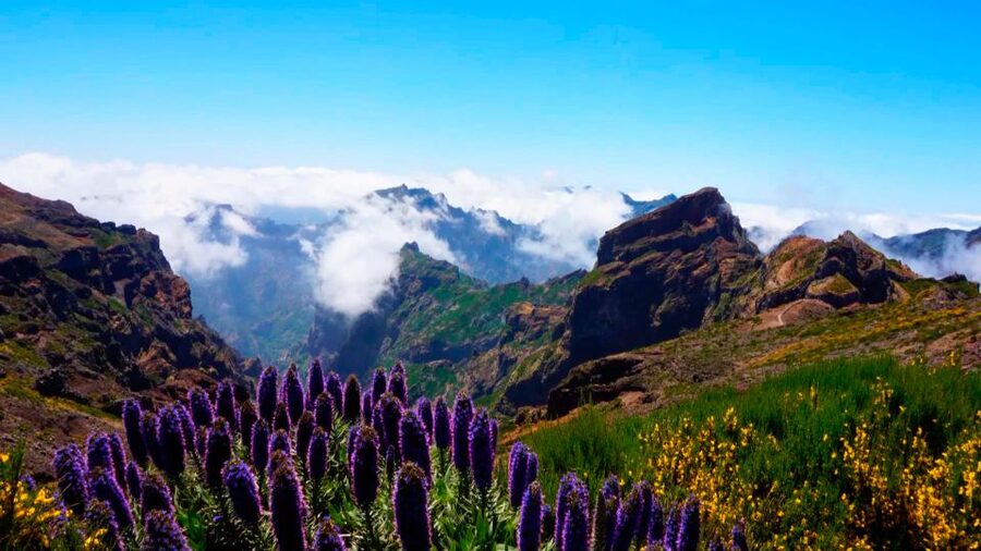 Madeira: Jeep tour Pico Areeiro, Santa Cruz and Cristo Rei - Santa Cruz shows Madeira as a working island