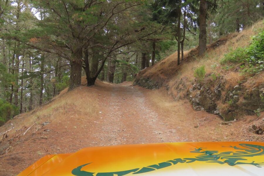 Madeira : Nun's Valleys and Pico Areeiro 4X4 Tour - What the 4x4 ride feels like