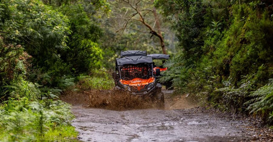 Madeira: Off-Road Buggy Adventure Through Laurissilva Forest - Key points to know before booking