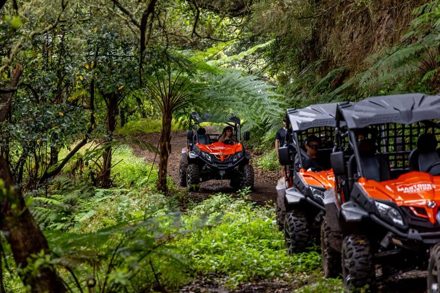 Madeira: Off-Road Buggy Adventure Through Laurissilva Forest - Should you book the Laurissilva buggy tour?