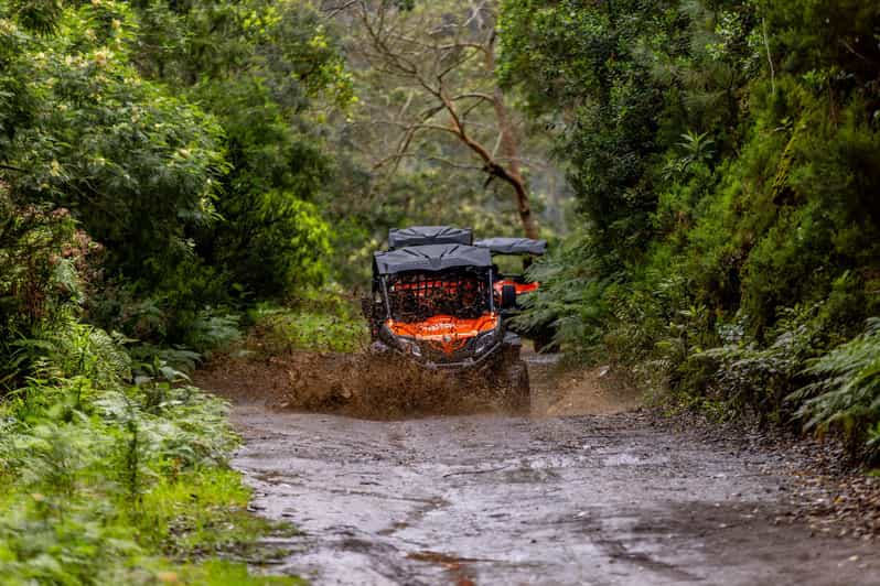 Madeira: Off-Road Buggy Adventure Through Laurissilva Forest - Starting at MadTours Adventure in Madeira