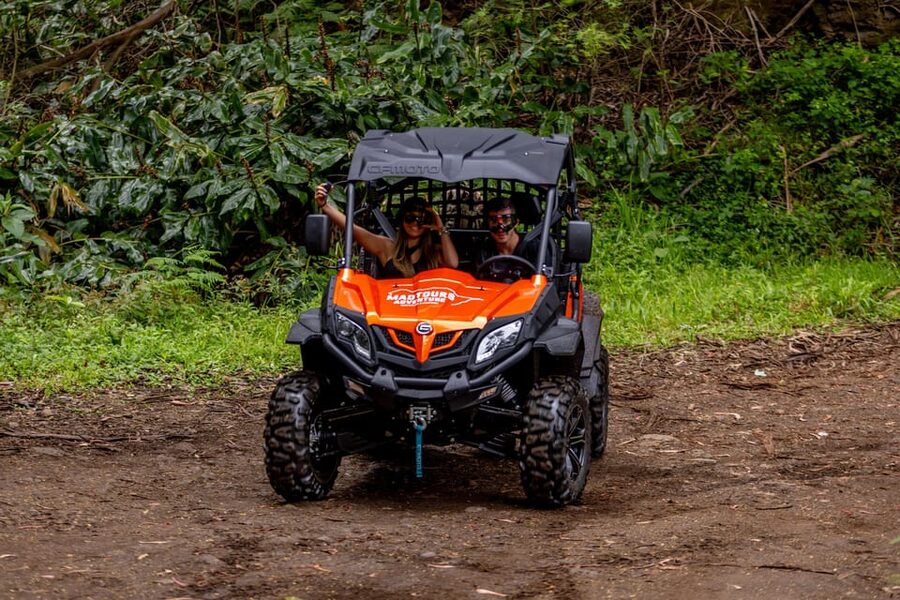 Madeira: Off-Road Buggy Adventure Through Laurissilva Forest - Boca do Risco and the north coast views