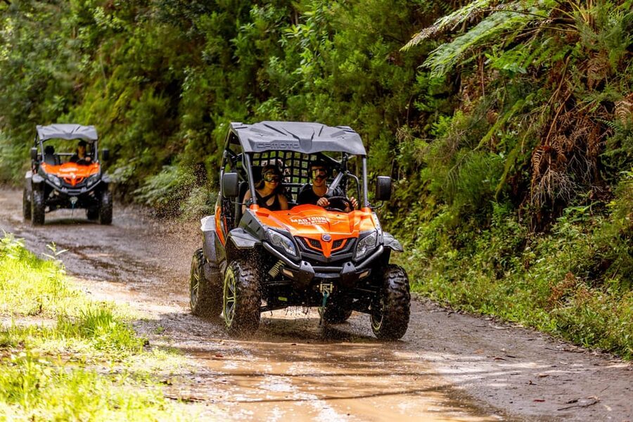 Madeira: Off-Road Buggy Adventure Through Laurissilva Forest - How wild is the buggy ride?
