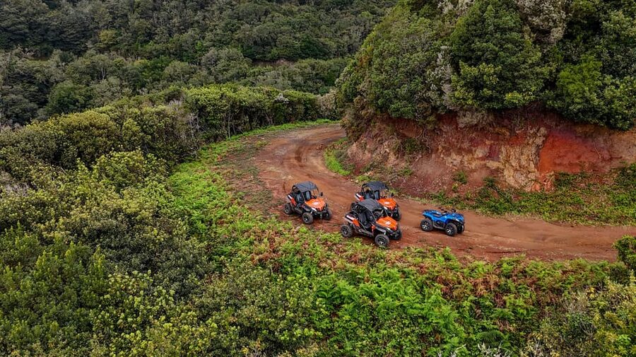 Madeira: Off-Road Buggy Adventure Through Laurissilva Forest - The buggies, comfort, and safety