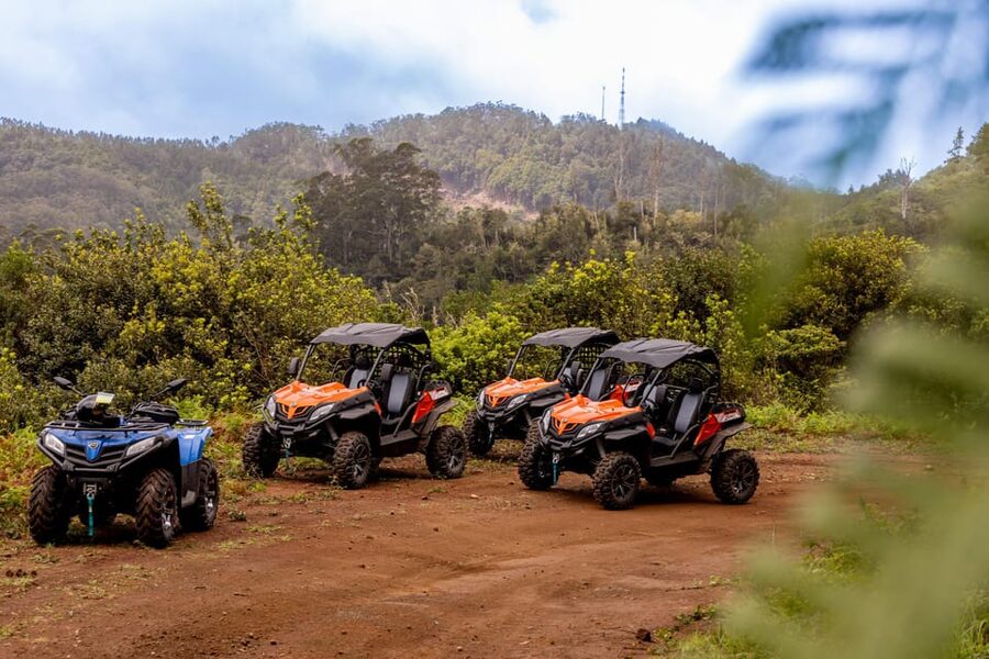 Madeira: Off-Road Buggy Adventure Through Laurissilva Forest - Who will enjoy this Madeira adventure most?