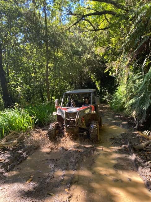 Madeira: Off-Road Buggy Driving Experience - Key points before you book