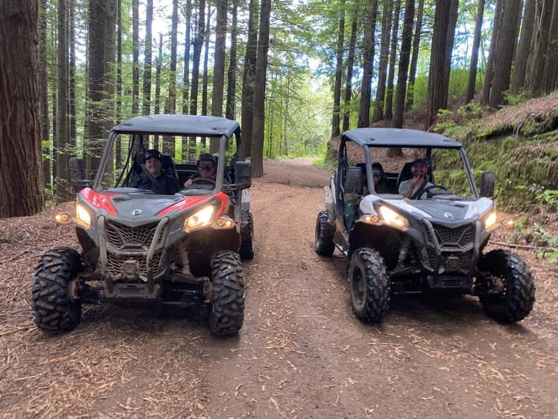 Madeira: Off-Road Buggy Driving Experience - Why this buggy tour adds something different to Madeira