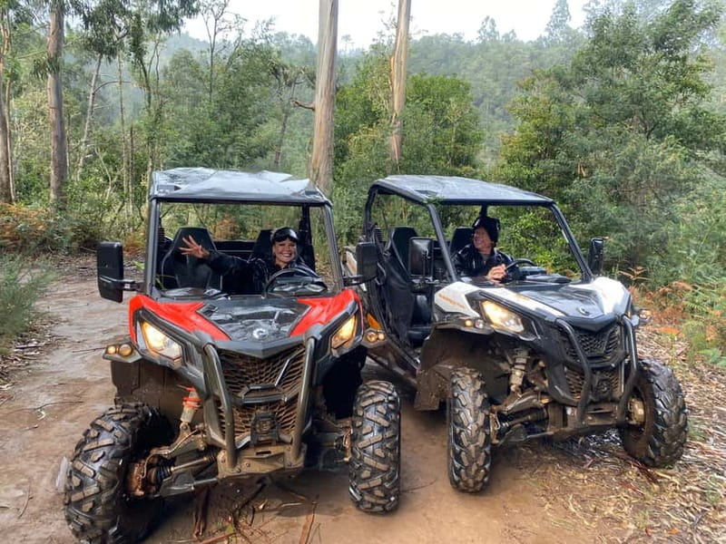 Madeira: Off-Road Buggy Driving Experience - Entering the Laurisilva forest