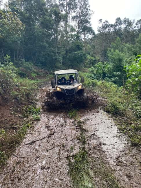 Madeira: Off-Road Buggy Driving Experience - Mountain viewpoints and northern Madeira scenery