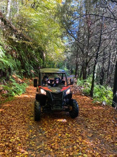 Madeira: Off-Road Buggy Driving Experience - How challenging is the driving?