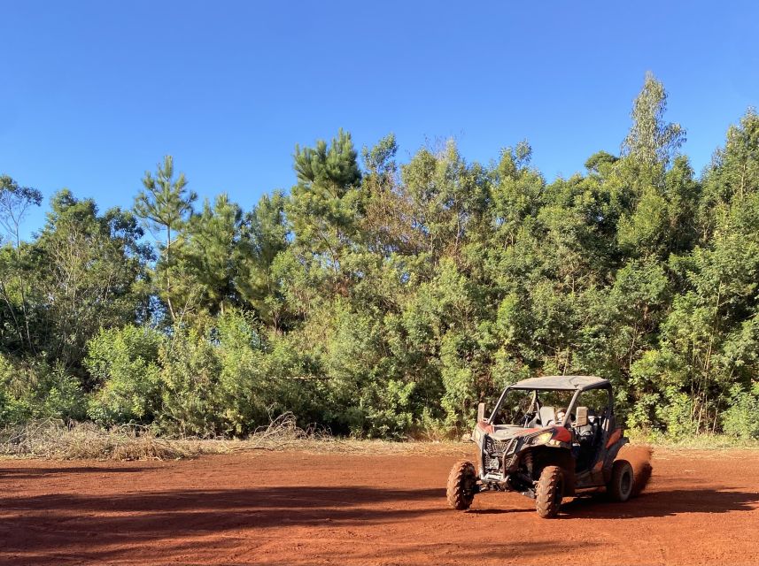 Madeira: Off-Road Buggy Driving Experience - Price, group size, and what you receive