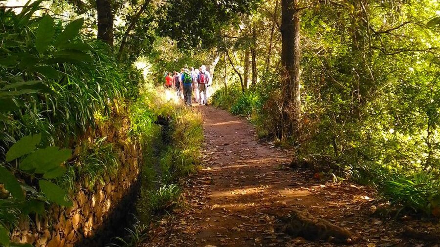 Madeira: Paradise Valley Levada Walk - Key points at a glance