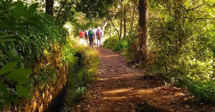 Madeira: Paradise Valley Levada Walk - Why Paradise Valley feels different from central Funchal