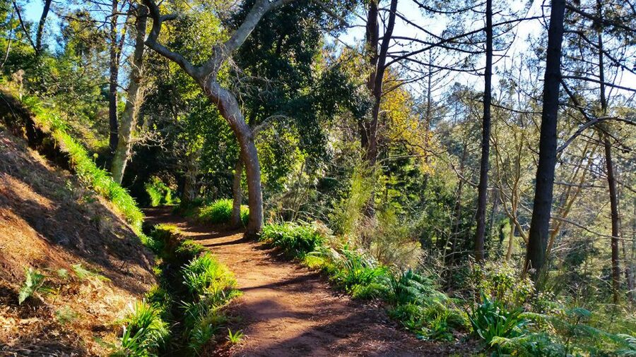 Madeira: Paradise Valley Levada Walk - Gardens and cultivated terraces along the route