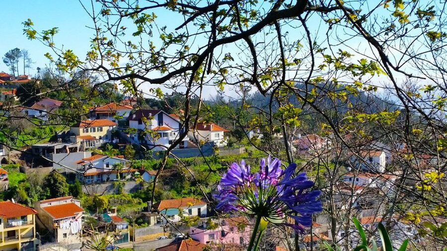 Madeira: Paradise Valley Levada Walk - The Camacha view and village scenery