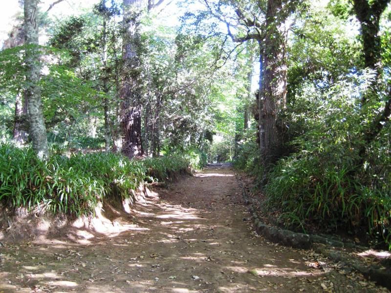 Madeira: Paradise Valley Levada Walk - The small café and local fruit stop