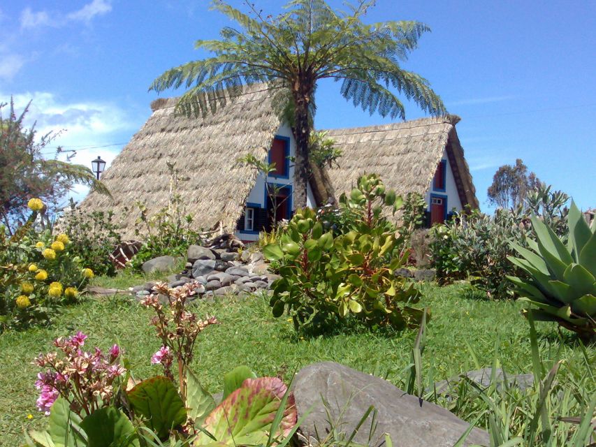 Madeira: Pico do Arieiro & Laurissilva Forest - East tour - Why this east Madeira tour works