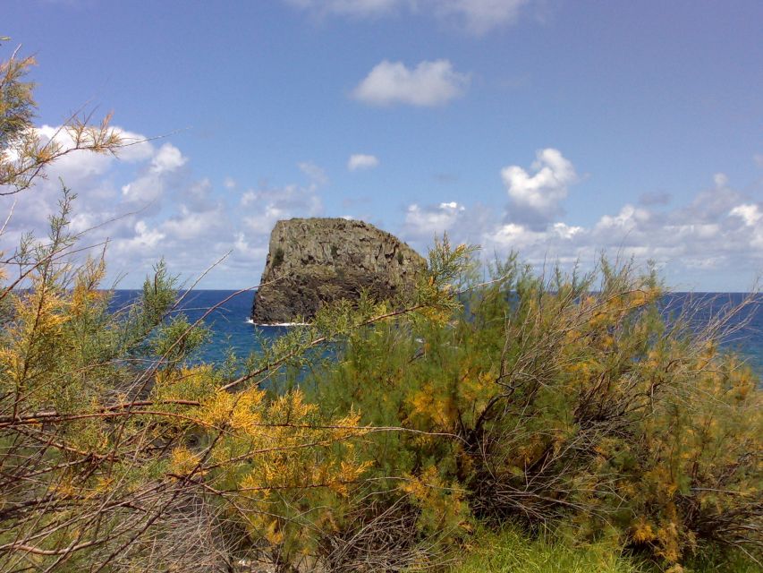 Madeira: Pico do Arieiro & Laurissilva Forest - East tour - Pico do Arieiro and Madeira’s high mountain air