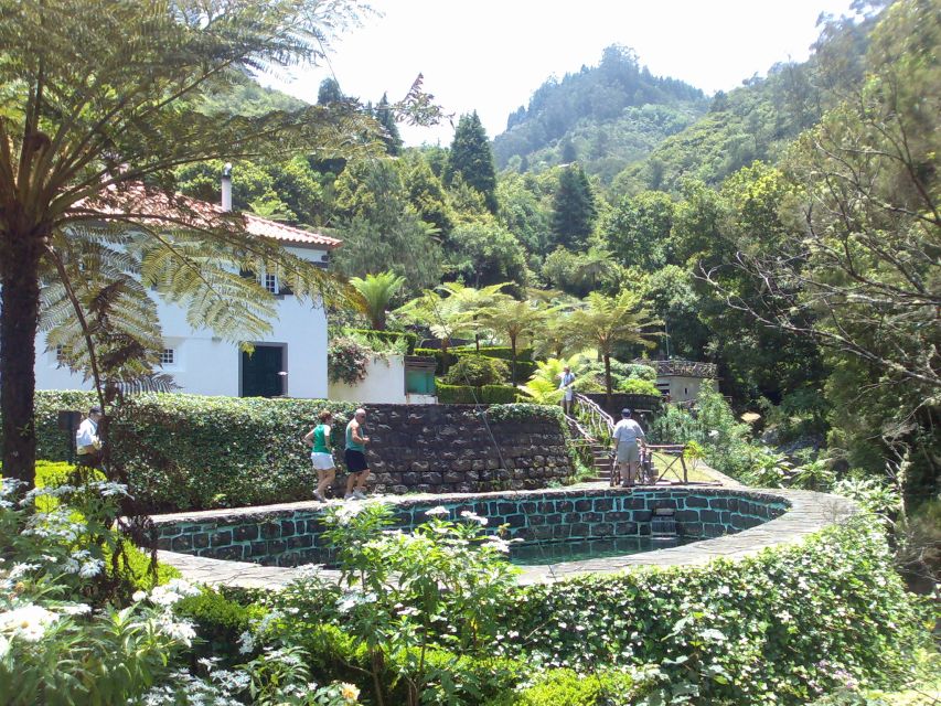 Madeira: Pico do Arieiro & Laurissilva Forest - East tour - Walking through the Laurissilva Forest