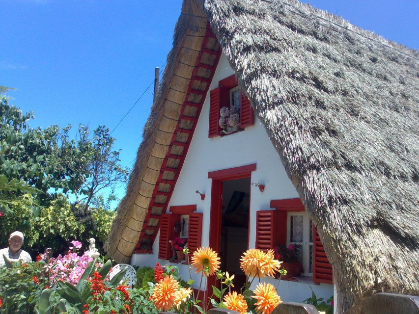 Madeira: Pico do Arieiro & Laurissilva Forest - East tour - Porto da Cruz, sugar cane, and a quieter village