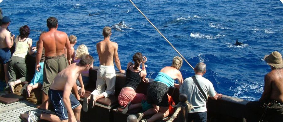 Madeira Pirate Ship: 3-Hour Boat Trip - Three hours along Madeira’s southern coast