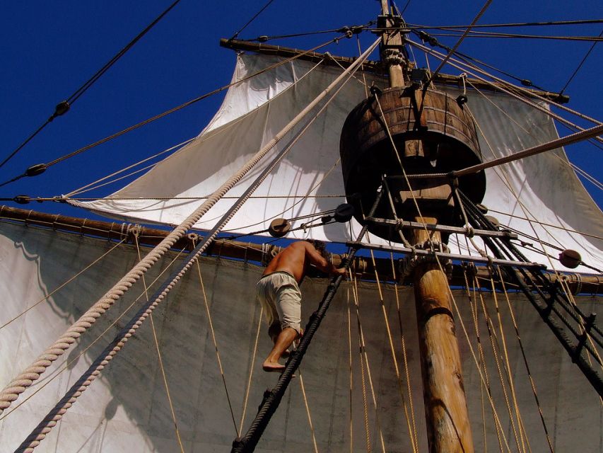 Madeira Pirate Ship: 3-Hour Boat Trip - The wildlife search: exciting, but never guaranteed