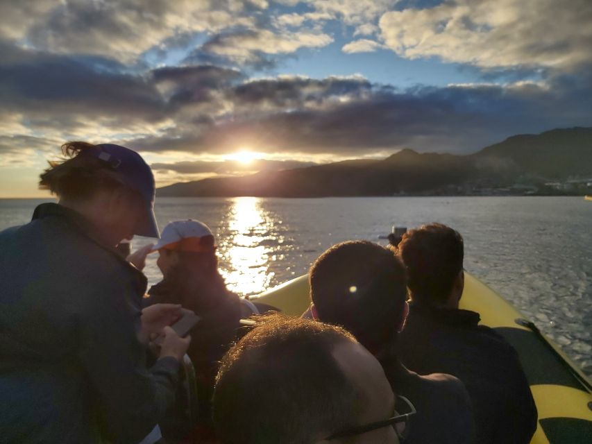 Madeira: Ponta de São Lourenço Lighthouse Boat Tour - Guide quality and language choice