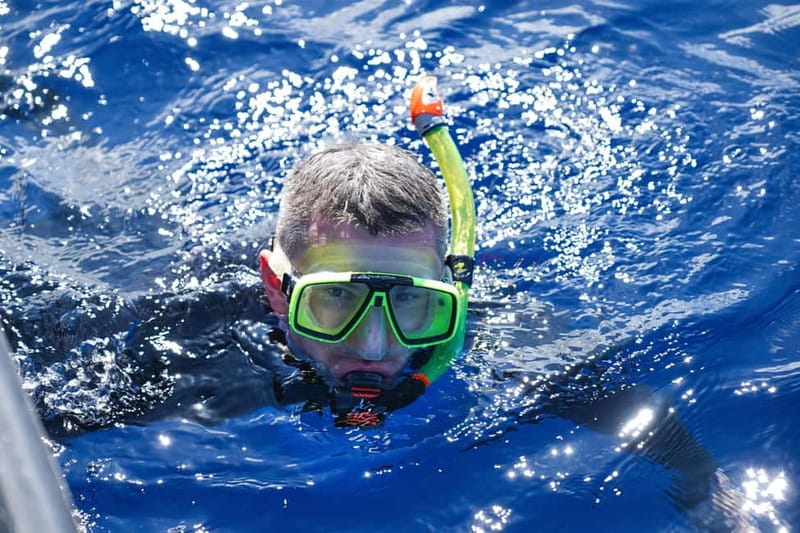 Madeira: Ponta de São Lourenço Snorkeling Boat Trip - The speedboat ride is half the entertainment