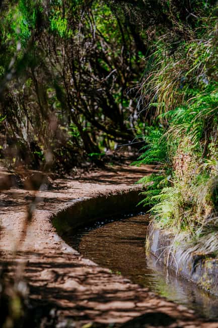 Madeira: PR 18 - Levada do Rei Hike Transfer - Why PR18 is worth your hiking day