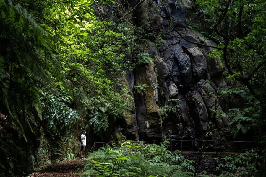 Madeira: PR 9 - Levada do Caldeirão Verde Hike Transfer - Why the PR9 Caldeirão Verde trail is special