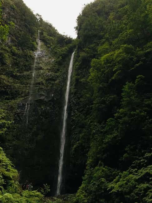 Madeira: PR 9 - Levada do Caldeirão Verde Hike Transfer - Following the levada through the forest