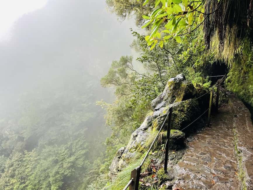 Madeira: PR 9 - Levada do Caldeirão Verde Hike Transfer - Pickup from Funchal, Caniço, and Garajau