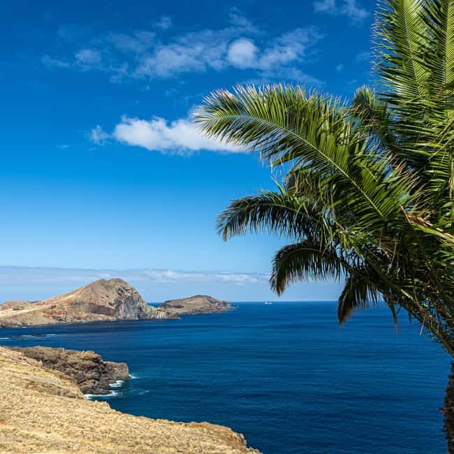 Madeira: PR8 -Ponta de São Lourenço Natural Reserve Transfer - Key points to know before booking