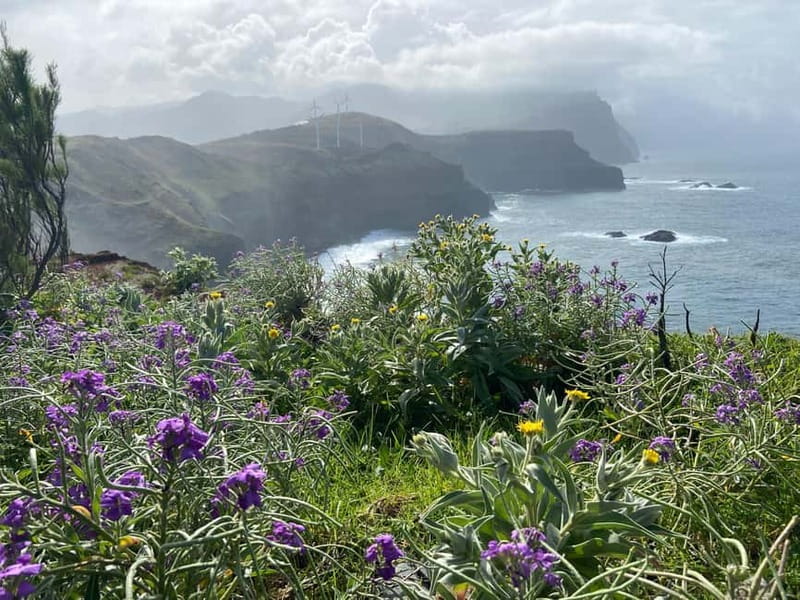 Madeira: PR8 -Ponta de São Lourenço Natural Reserve Transfer - Small details that make the day easier