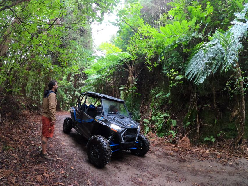 Madeira Private Buggy Adventure: Mountains and Forests - What to wear for Madeira’s changing weather