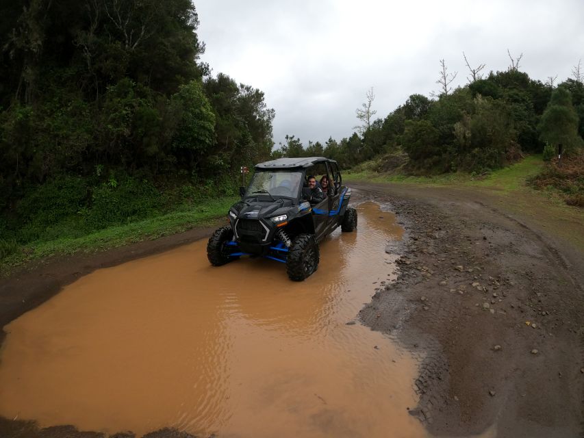 Madeira Private Buggy Adventure: Mountains and Forests - What this private buggy trip is really like